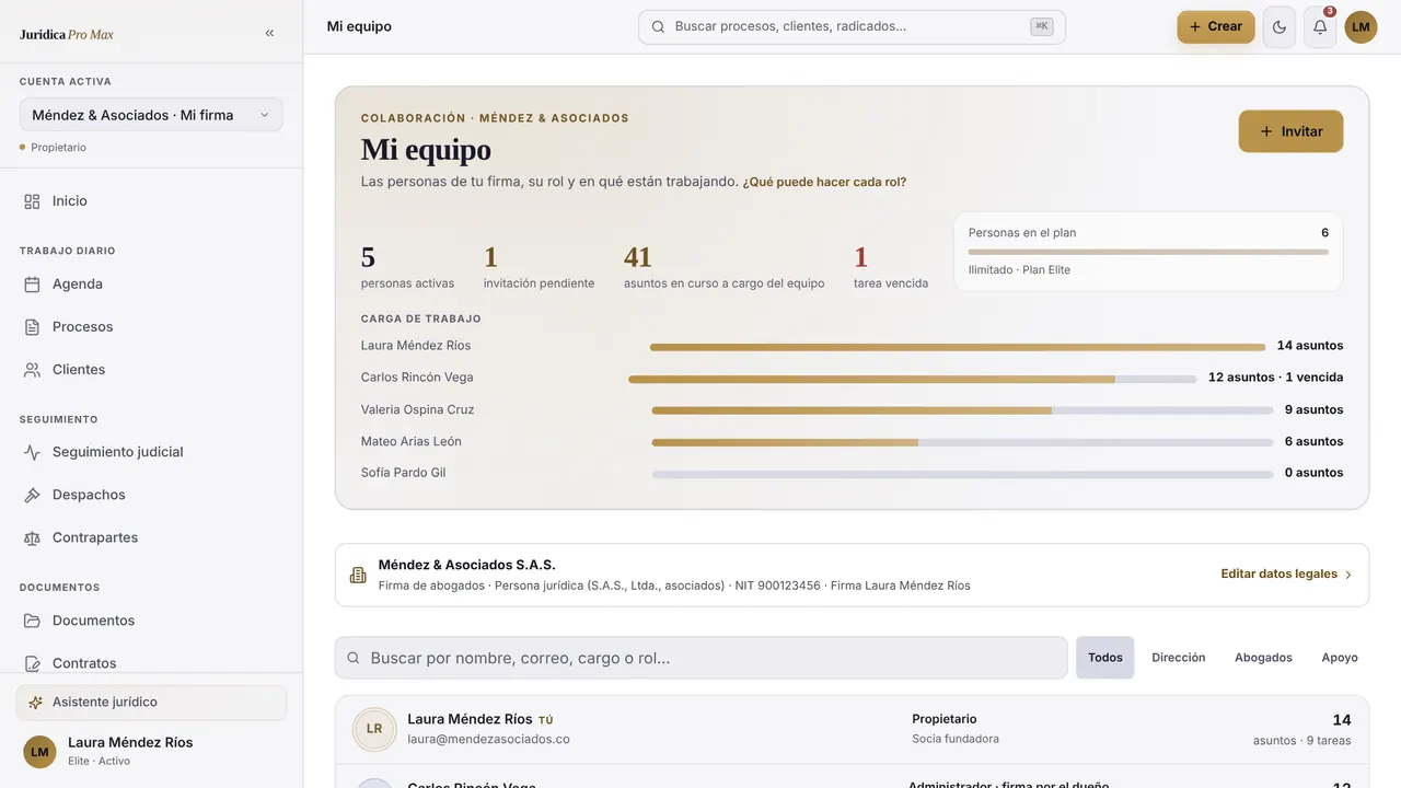 Equipo de la firma con sus roles (datos de ejemplo)